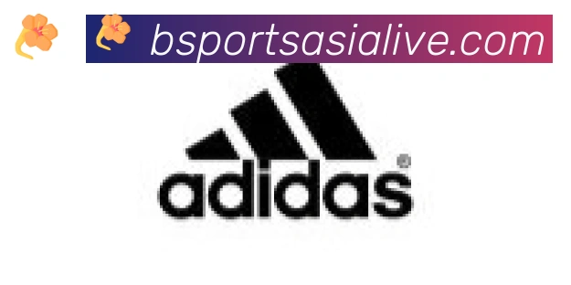 Bsports官网合作伙伴